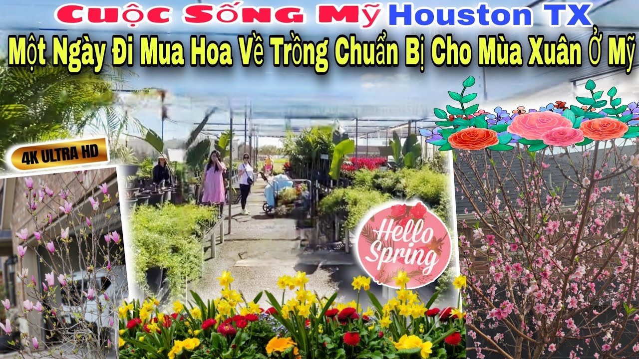 Cuộc Sống Mỹ | Đi Mua Cây Cảnh Ở Nhà Vườn Lớn Nhất Tại Houston TX
