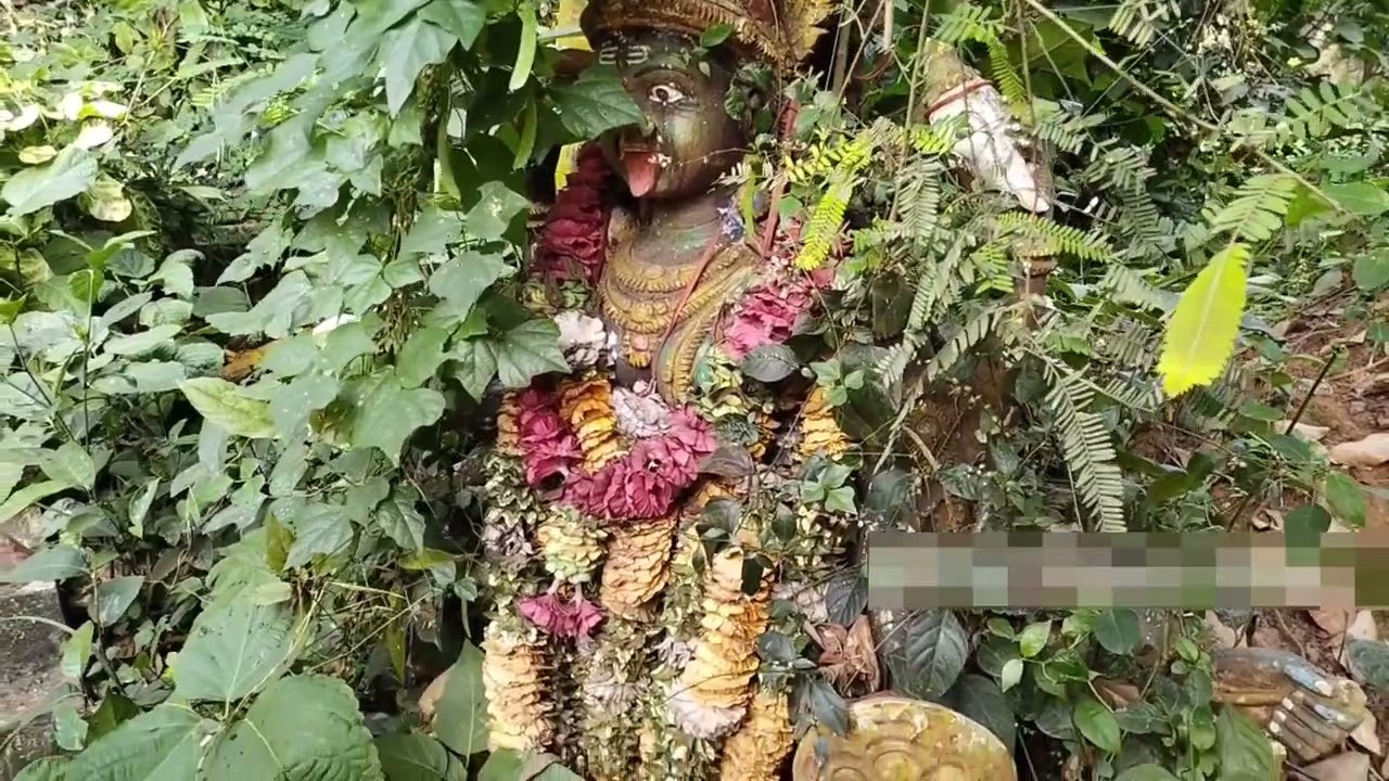 Borivanka Kalimata Temple | Most Powerful Temple in Srikakulam dist