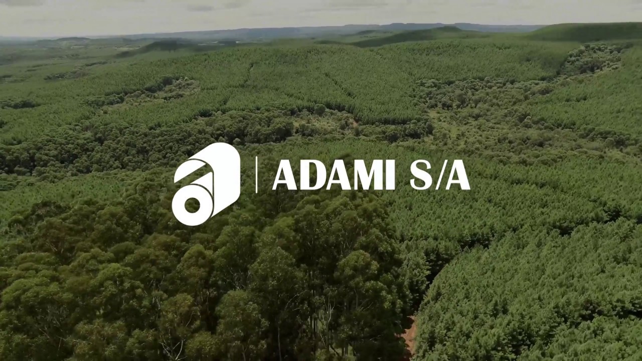 Institucional Adami S/A 2017 - Português