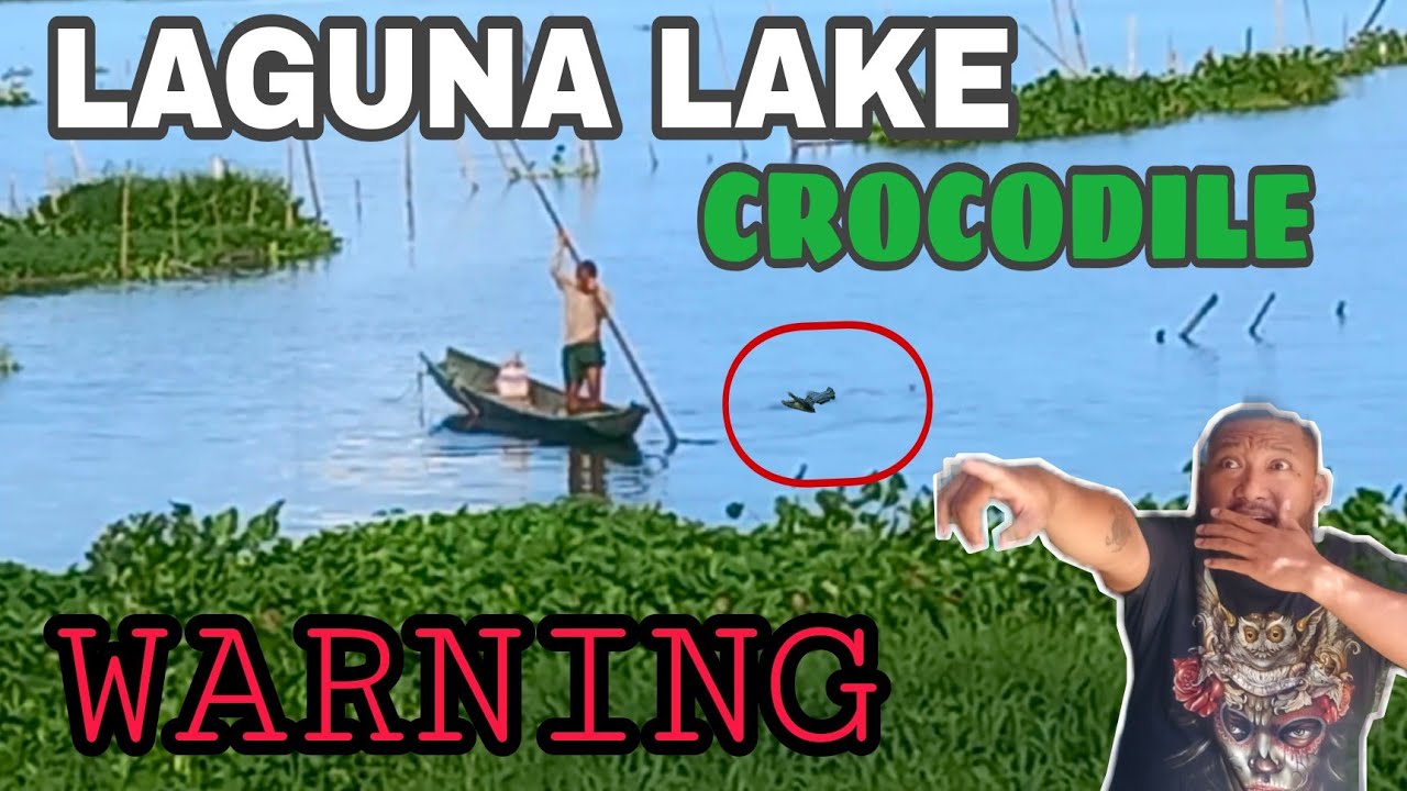 BUWAYA SA LAGUNA LAKE I FAFA ROM
