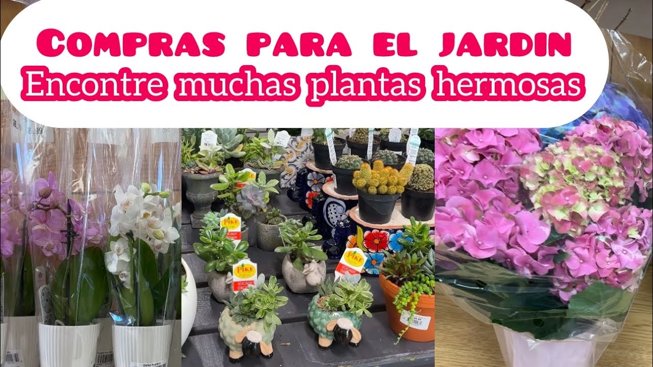 Vamos de compras para el jardin  y encontre muchas plantas hermosas