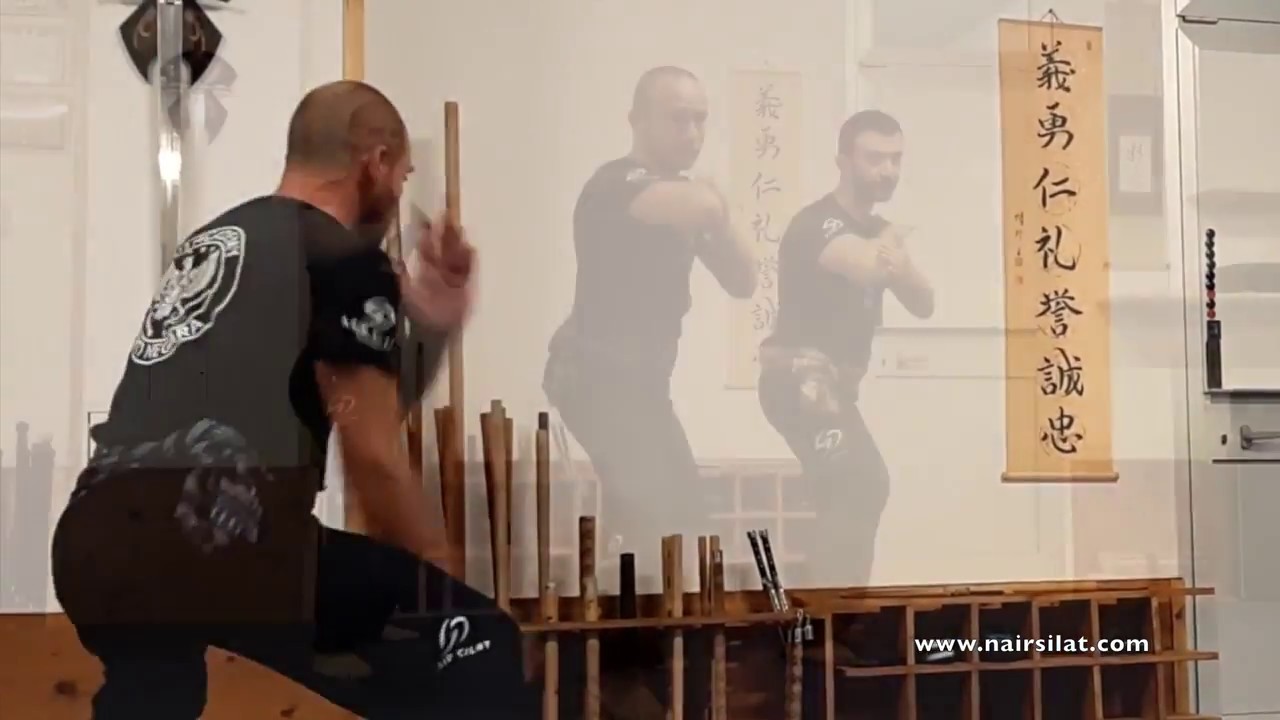 NairSilat Academy - Istr. D.Mantovan