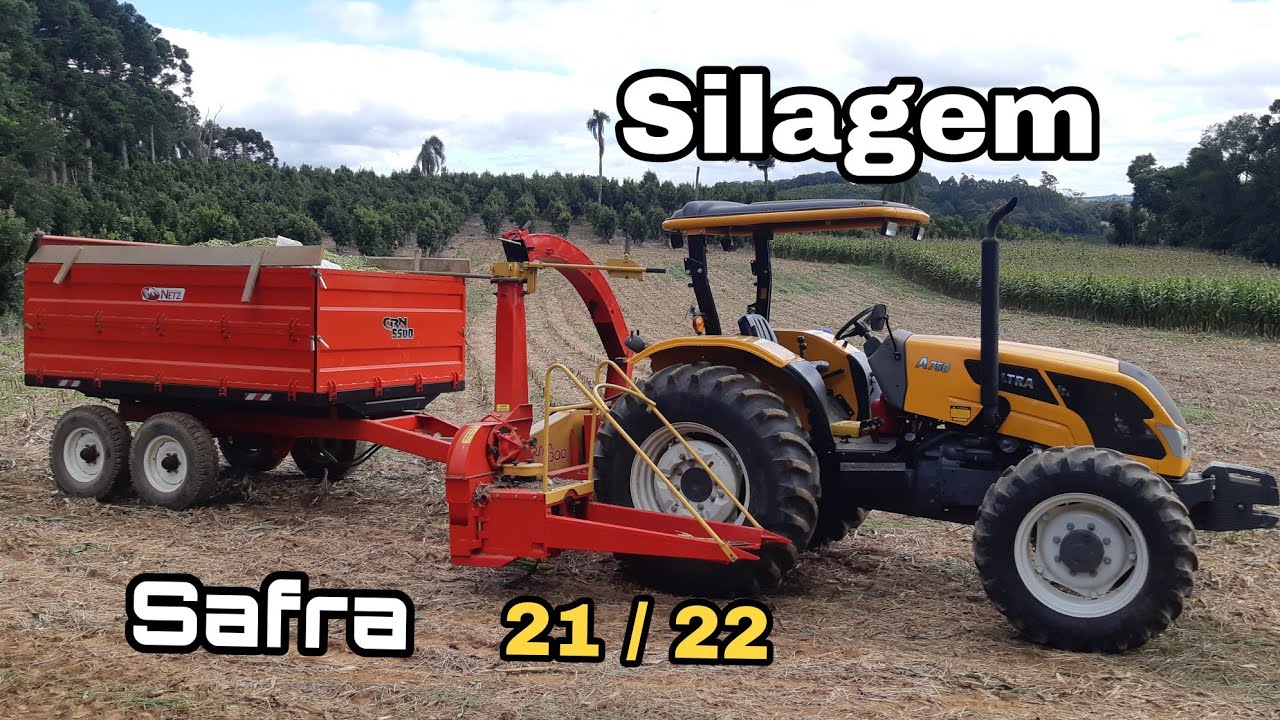 Valtra A 750 fazendo Silagem com a ensiladeira Brava 300 com caretão basculante CBN 5500