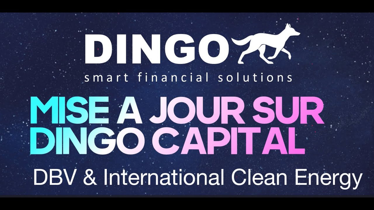 MISE À JOUR SDAM, BRIDGE COIN DBV, DINGO CAPITAL & OPPORTUNITÉS INTERNATIONAL CLEAN ENERGY (ICE)