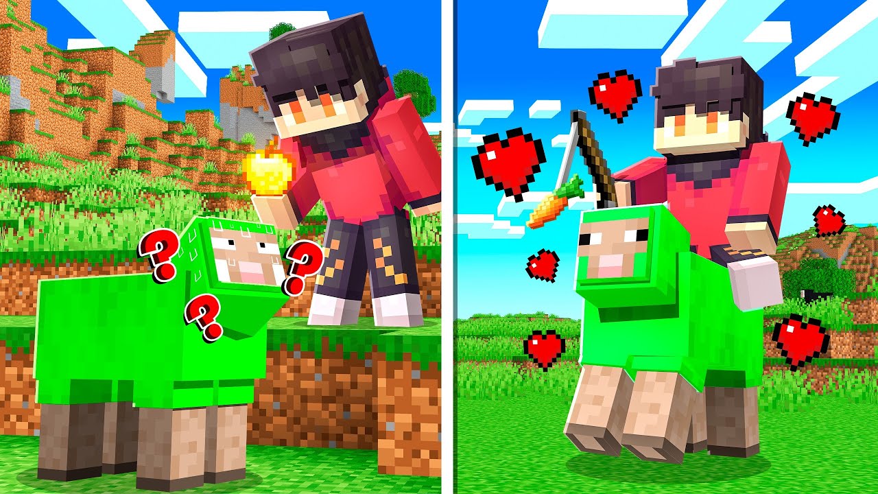I Made Friends with a SHEEP in Minecraft 1.21!