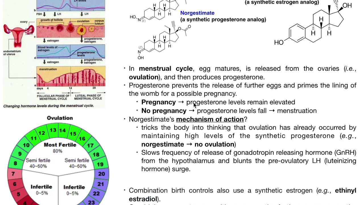 The Mechanism of Combination Birth Control