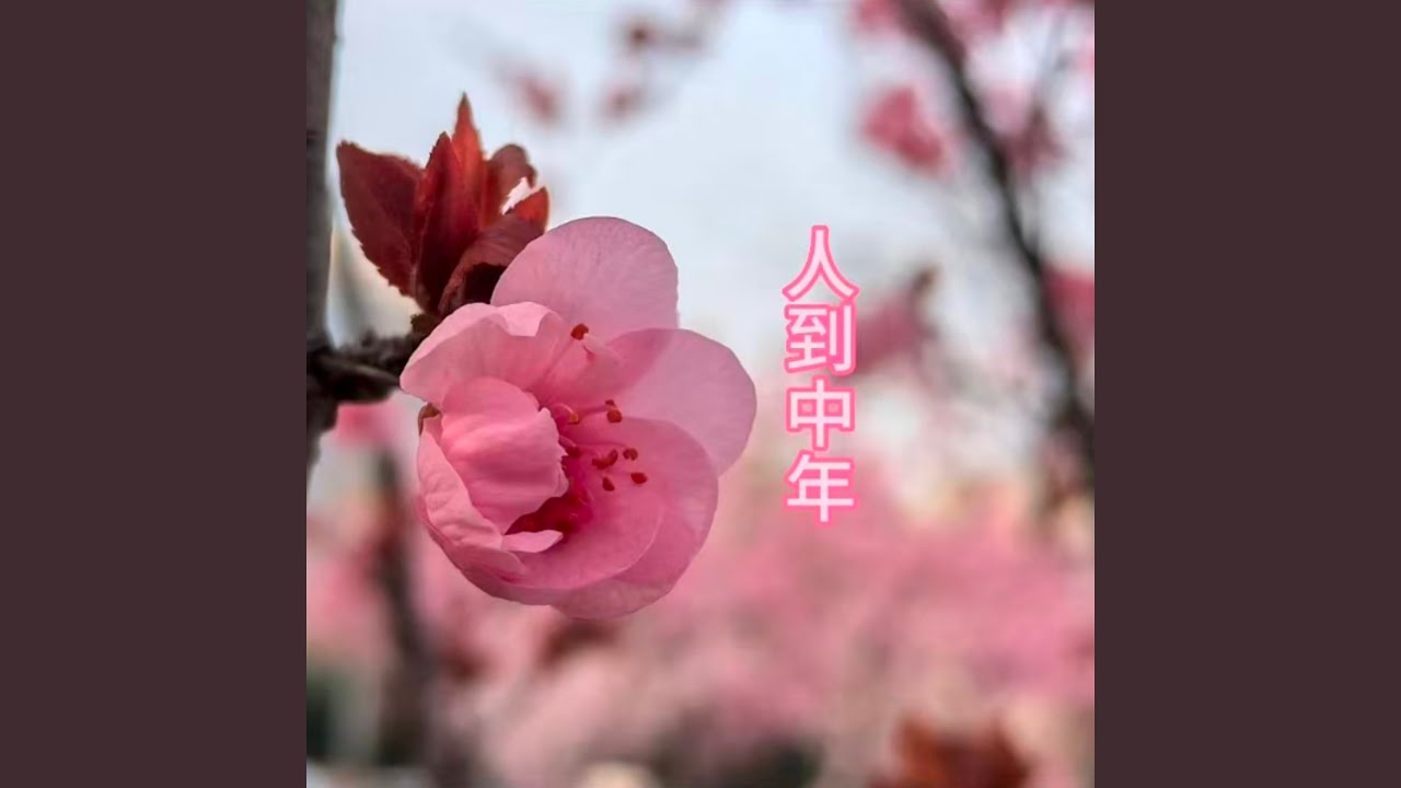 人到中年 (重置版)