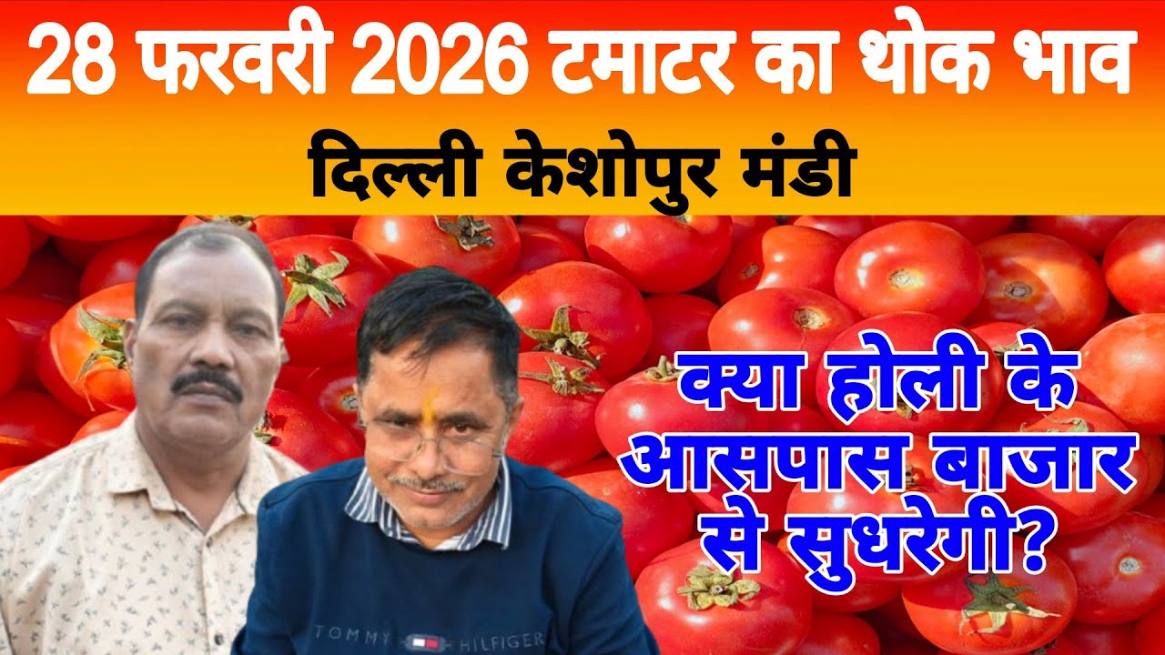28 Feb 2026 Delhi 🍅 टमाटर होलसेल भाव | Keshopur Mandi | Today Tomato Rate #tamatar #tamatarmandi