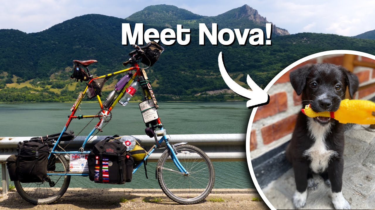 Taking a Stray Puppy With Me Around The World // Tall Bike Tour [Ep.10]