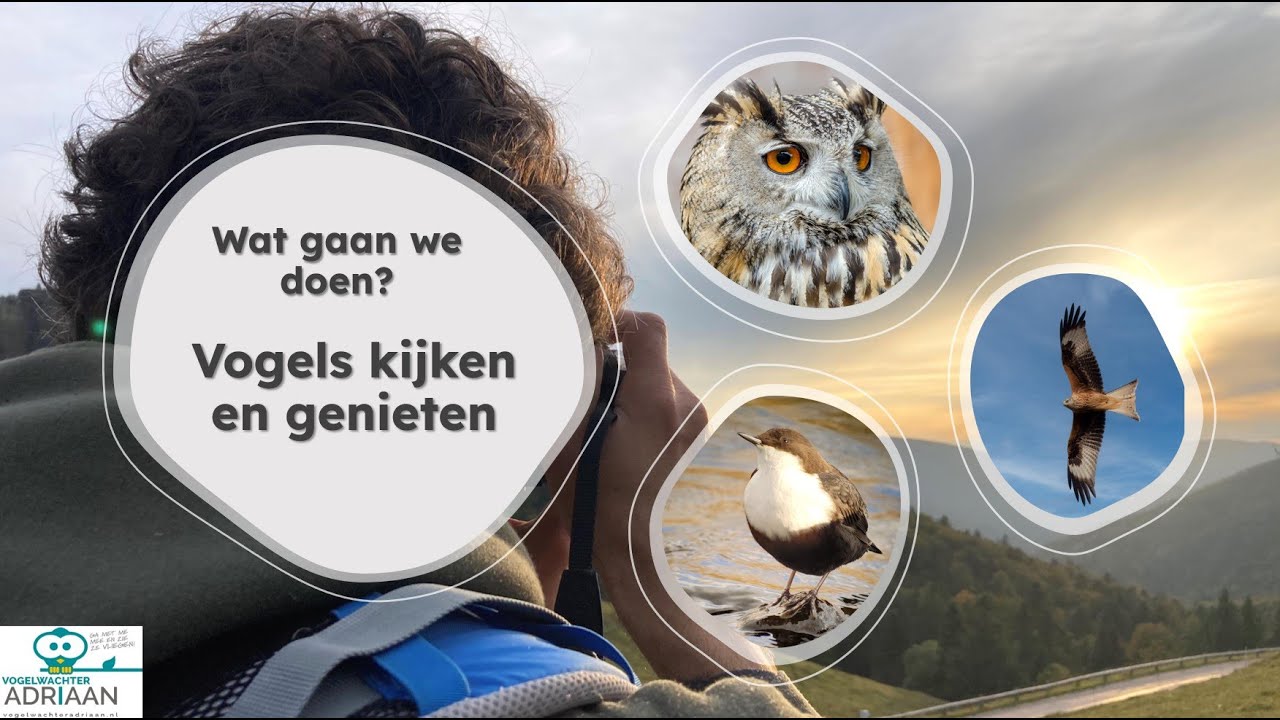 Drie geweldige gebieden om vogels te kijken in Europa (webinar)
