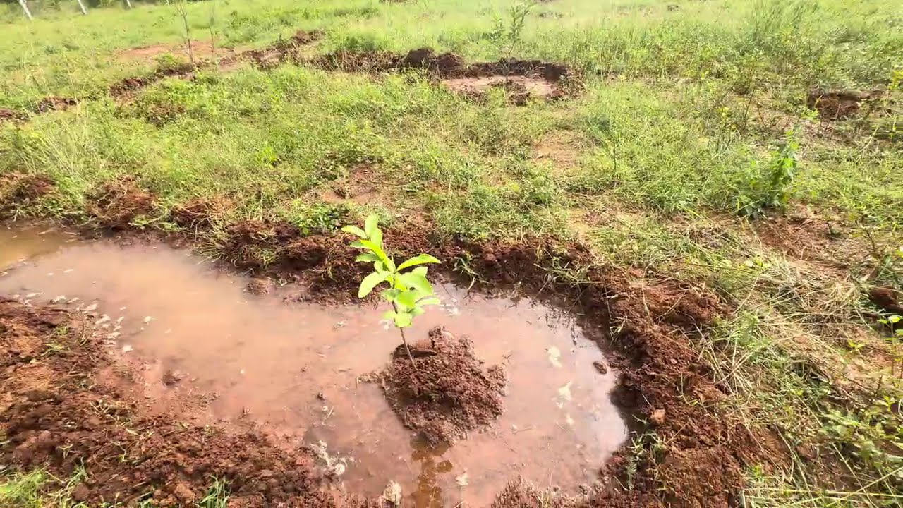 Besantnagar to Rudy's farmland
