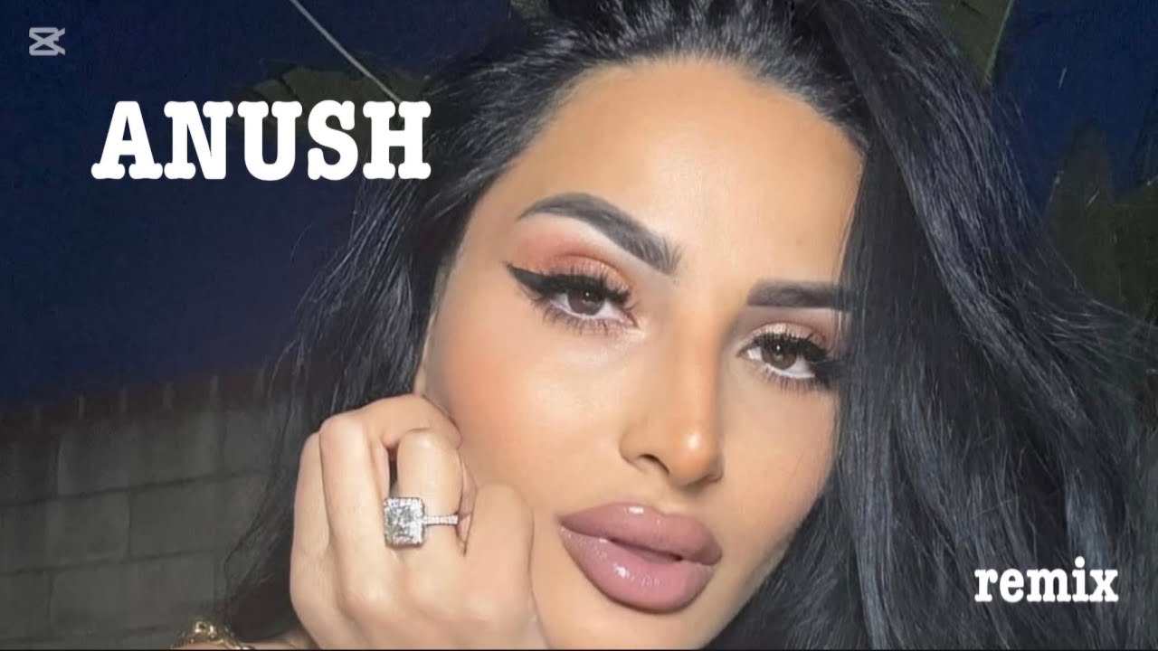 ANUSH PETROSYAN - TOP REMIX 2025