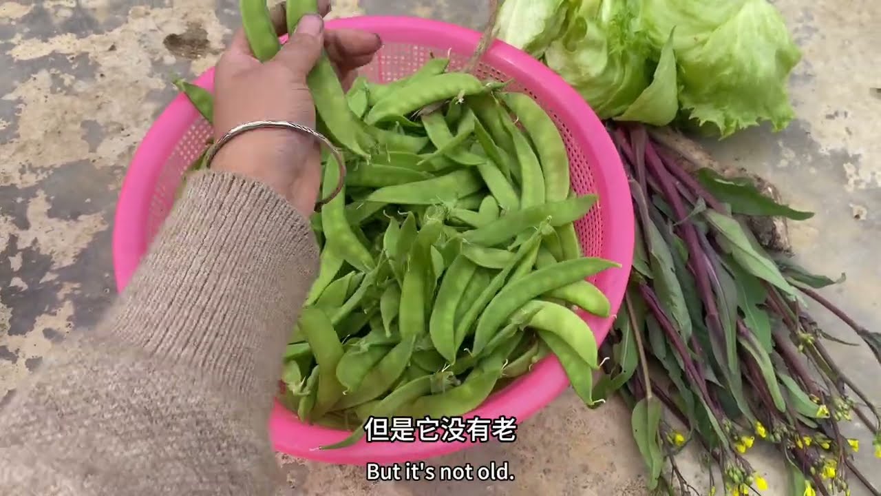 Let’s take a look at what vegetables are growing in my winter garden!