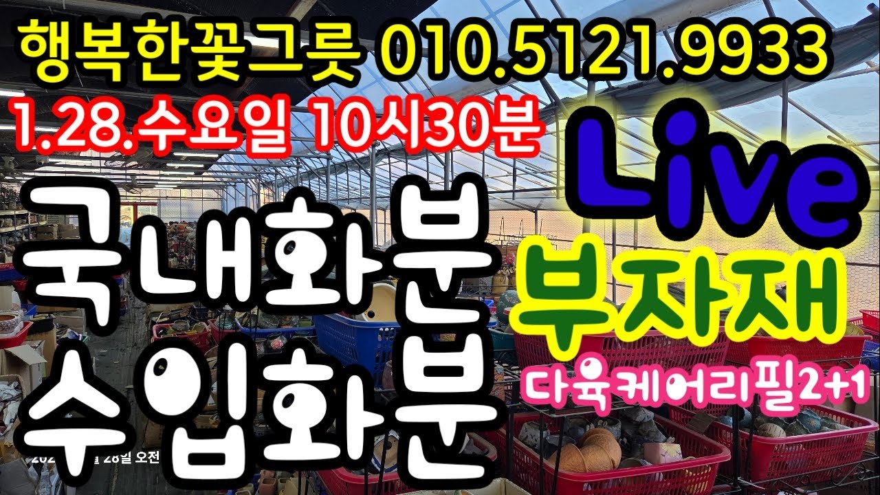 오늘은 화분 라이브 판매하는 날 ! 국내수제분&수입분! 부자재 ! 봄분갈이준비하세요! 행복한꽃그릇 010.5121.9933