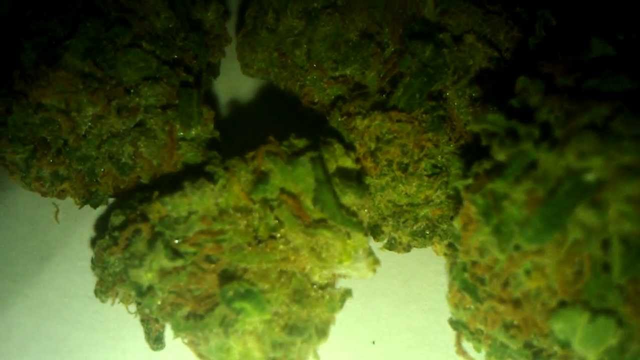 Diablo OG