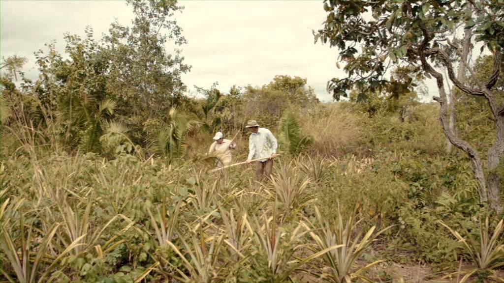 EPER - campagne Brésil - Le film documentaire partie 1