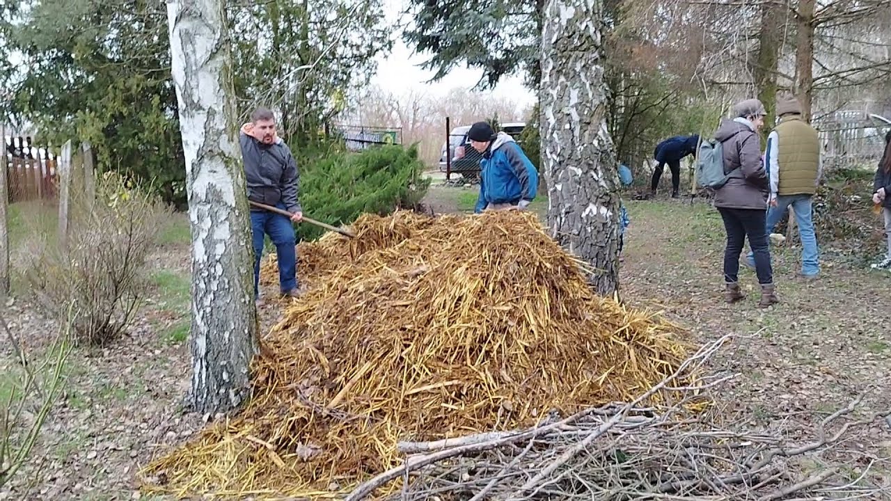 Prizma komposztálás friss lótrágyából, gally ágyon