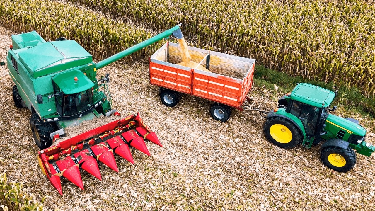 УРОЖАЙ КУКУРУЗЫ 2024 JOHN DEERE + CAPELLO R6