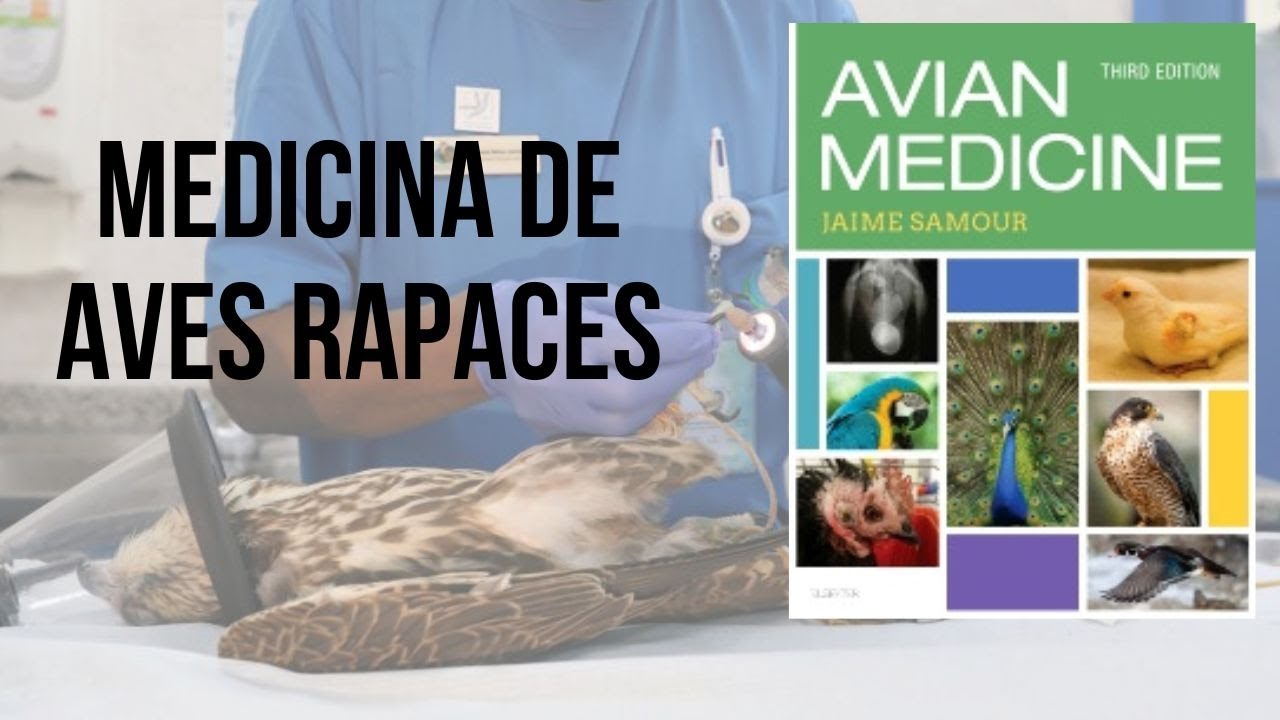 ANATOMIA Y FISIOLOGÍA AVIAR y MEDICINA DE RAPACES por el Dr. Jaime Samour