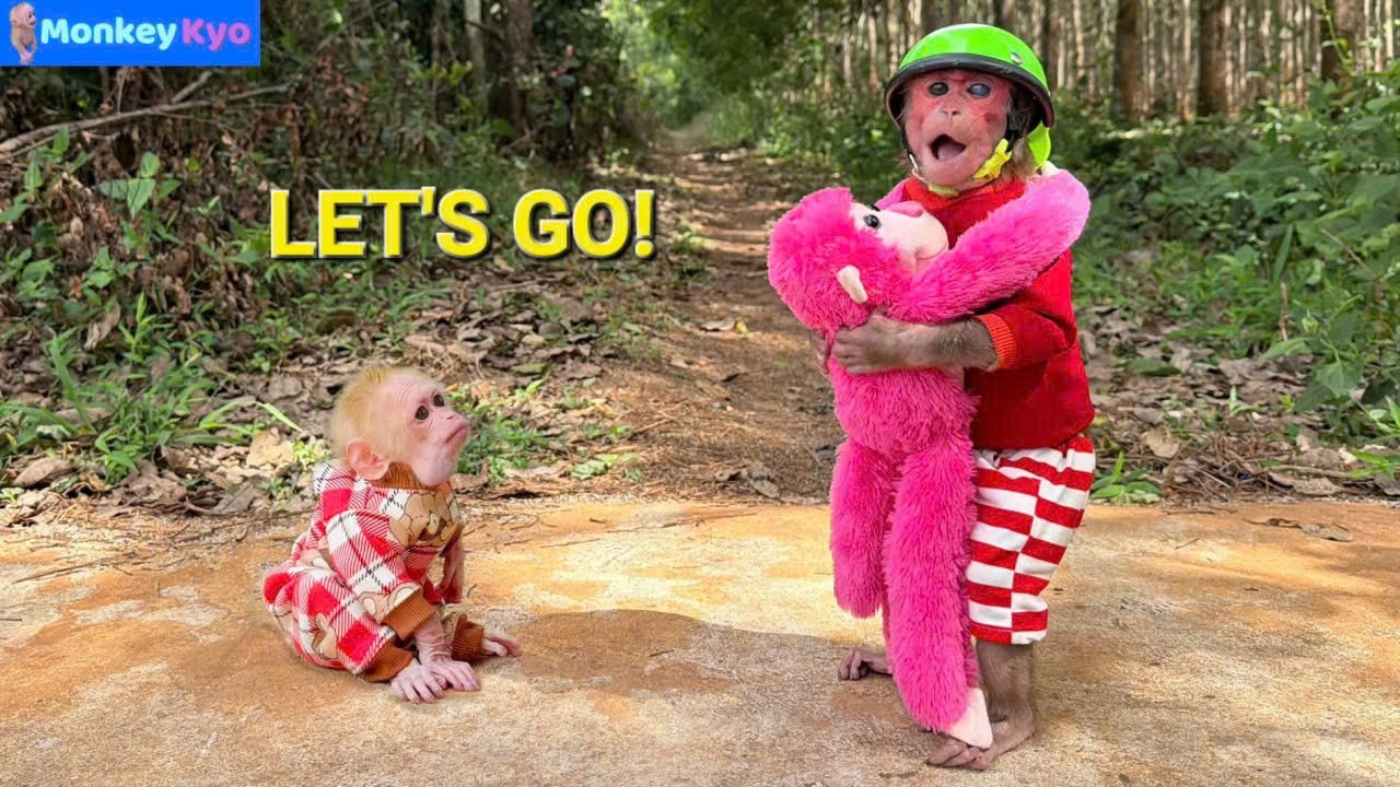 Dad Isn’t Home… Kyo Sneaks Out with BuNa and the Toy Monkey!