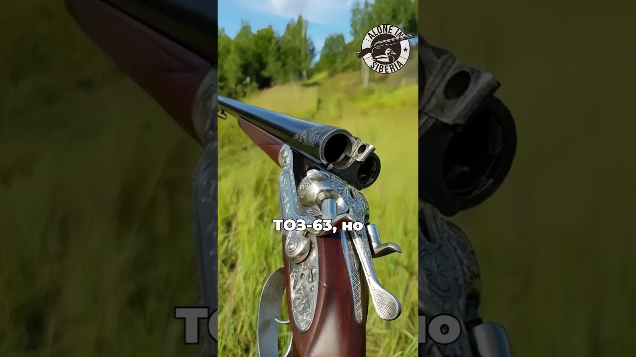 ТОЗ-66 - ЛУЧШАЯ КУРКОВКА СССР?! #shotgun #охотник #hunt  #охота #hunting #охотник #оружие #тоз66