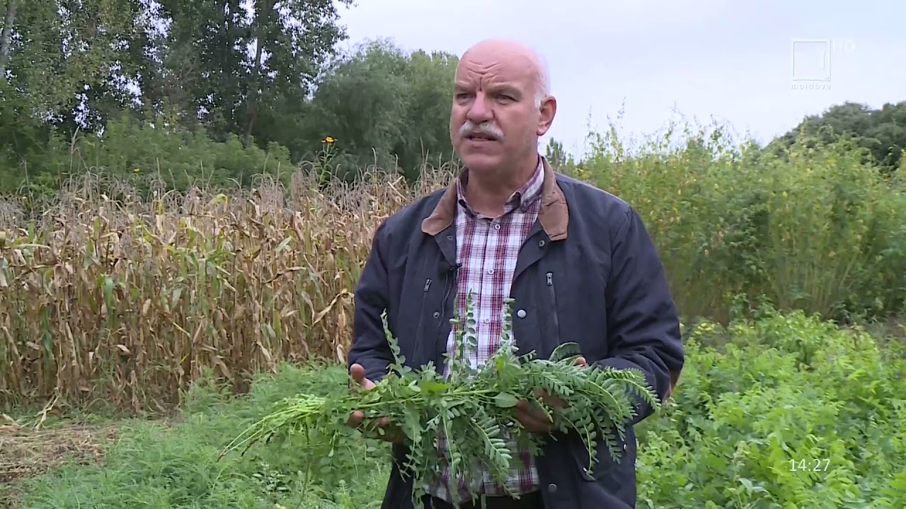 „Rapsodia Satului”: Plantele furajere recomandate agricultorilor