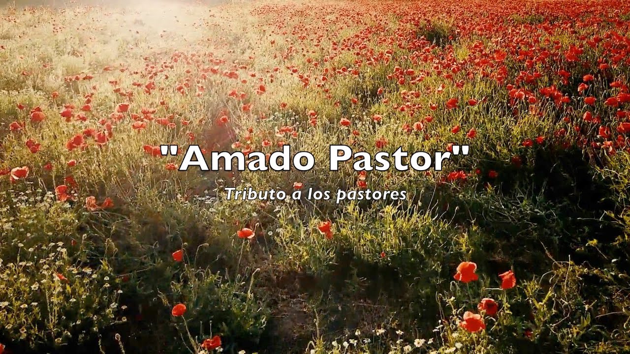 Tributo del Pastor | 