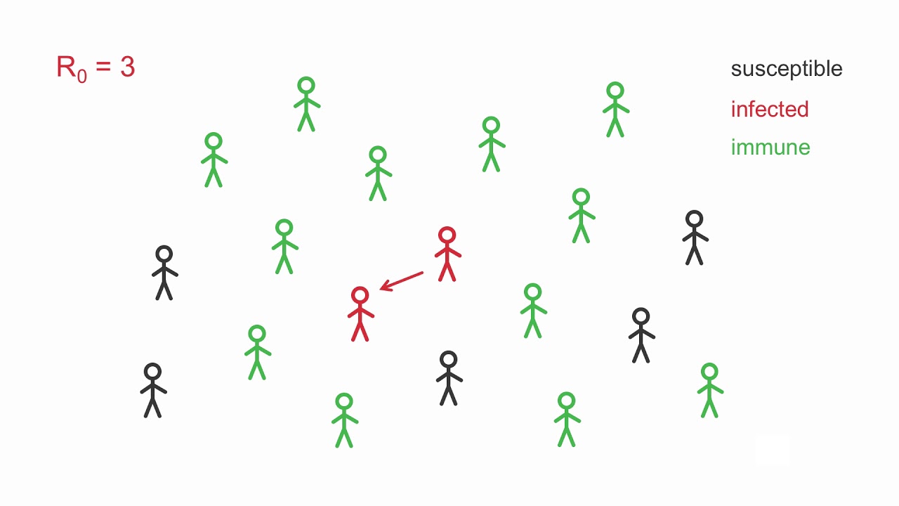 COVID-19 Update 2: How to stop an epidemic - Herd immunity