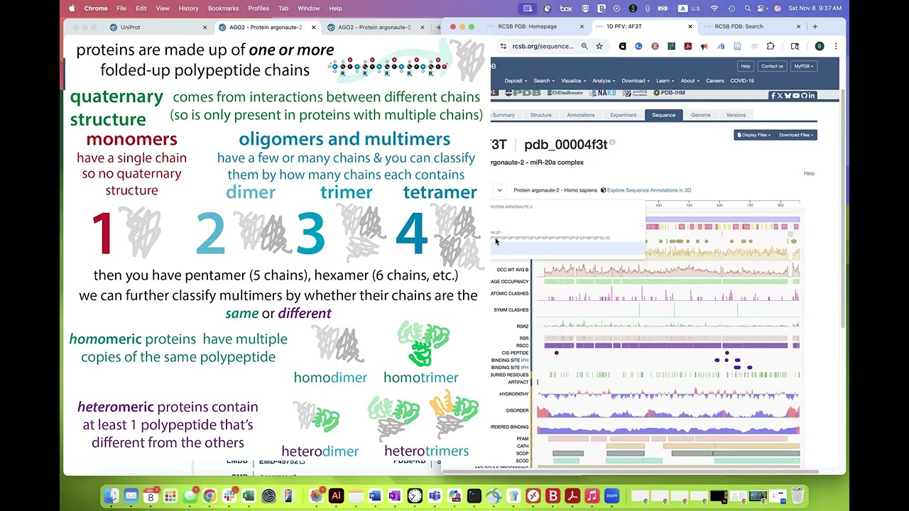 Uniprot vs. the PDB: Understanding their entries and differences