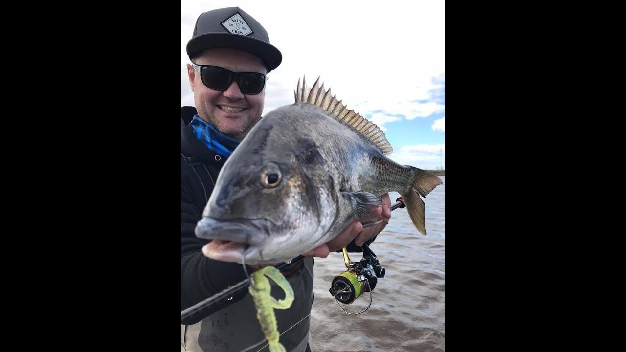 IFISH Tuncurry NSW