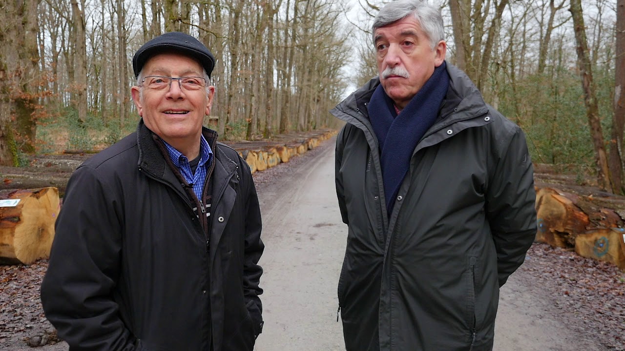 La forêt du Gâvre : une forêt désenchantée