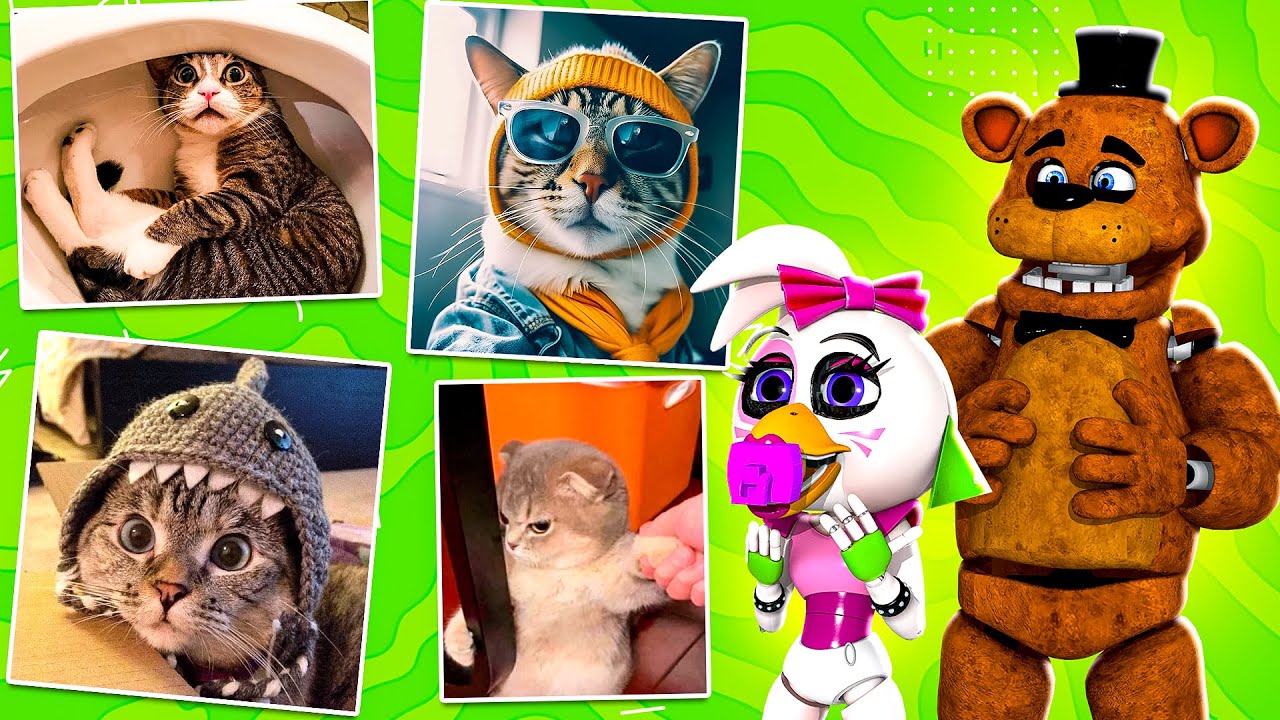 LAUGH Along With Francine and Freddy Reacting to Funny Cat Videos
