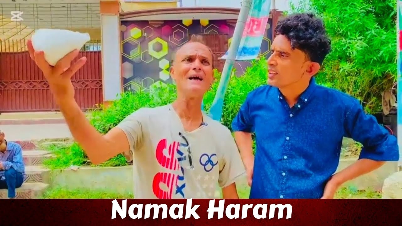 Namak Haram 😂 | मज़ेदार देसी कॉमेडी वीडियो 2025 | Mr C Entertainment