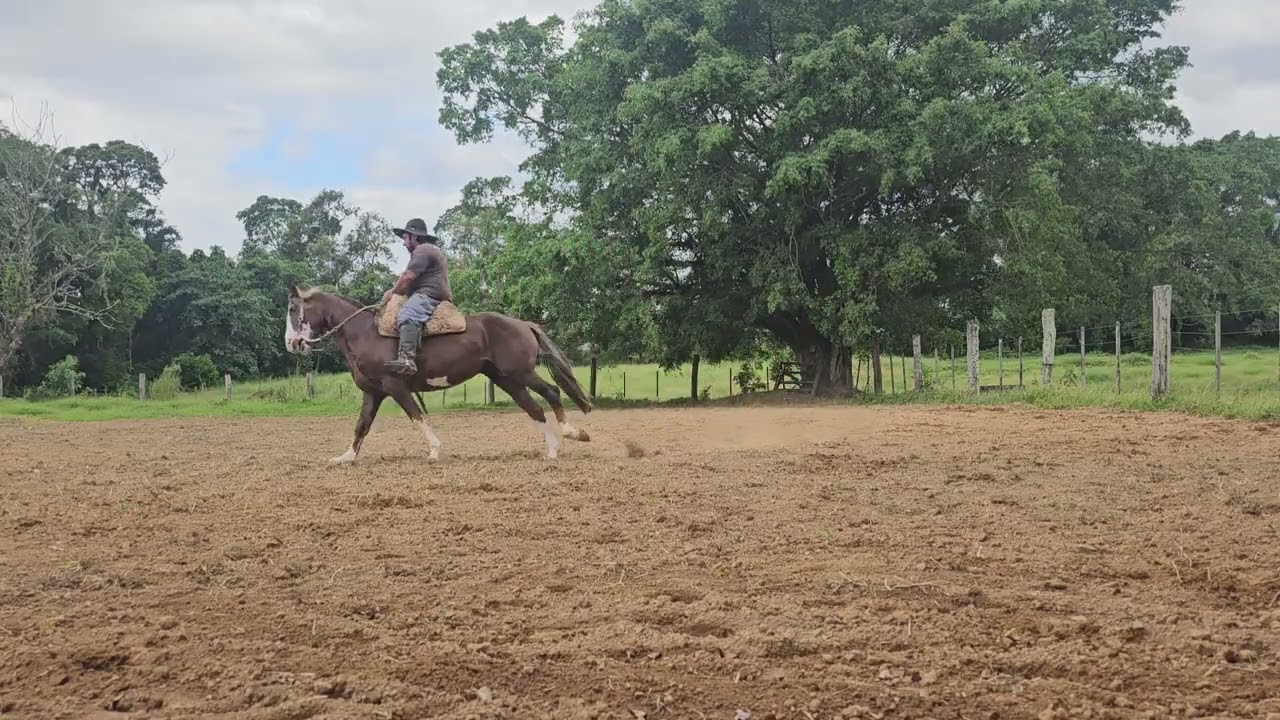 Começo de Treinamento Do Bragado sem máscara nada 