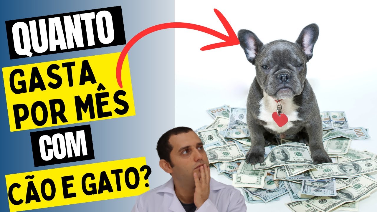 quanto gasta por mês com cachorro e gato ?