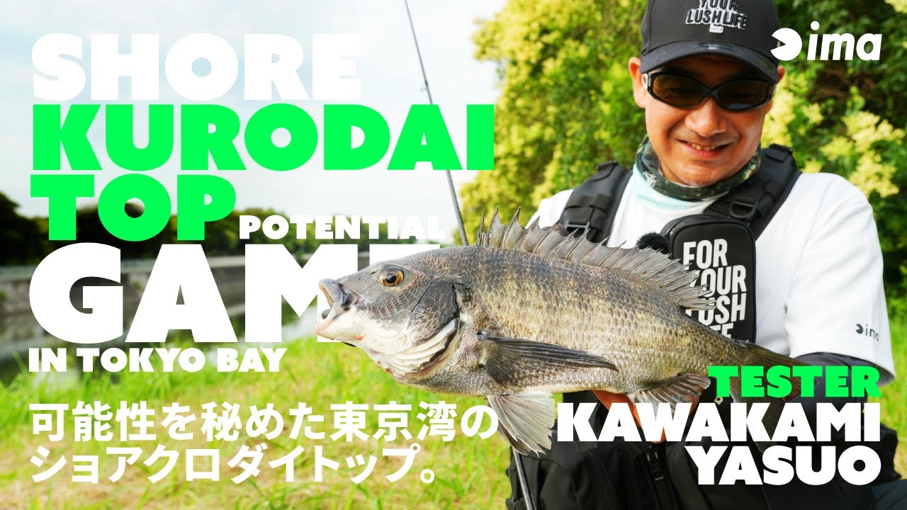 SHORE KURODAI TOP POTENTIAL GAME IN TOKYO BAY | 可能性を秘めた東京湾のショアクロダイトップ。