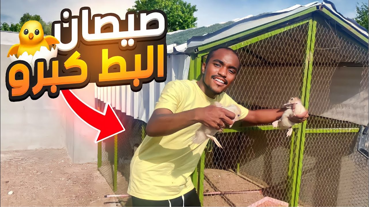 اخر مقطع مع الدجاج والبط بداية جديده❤️