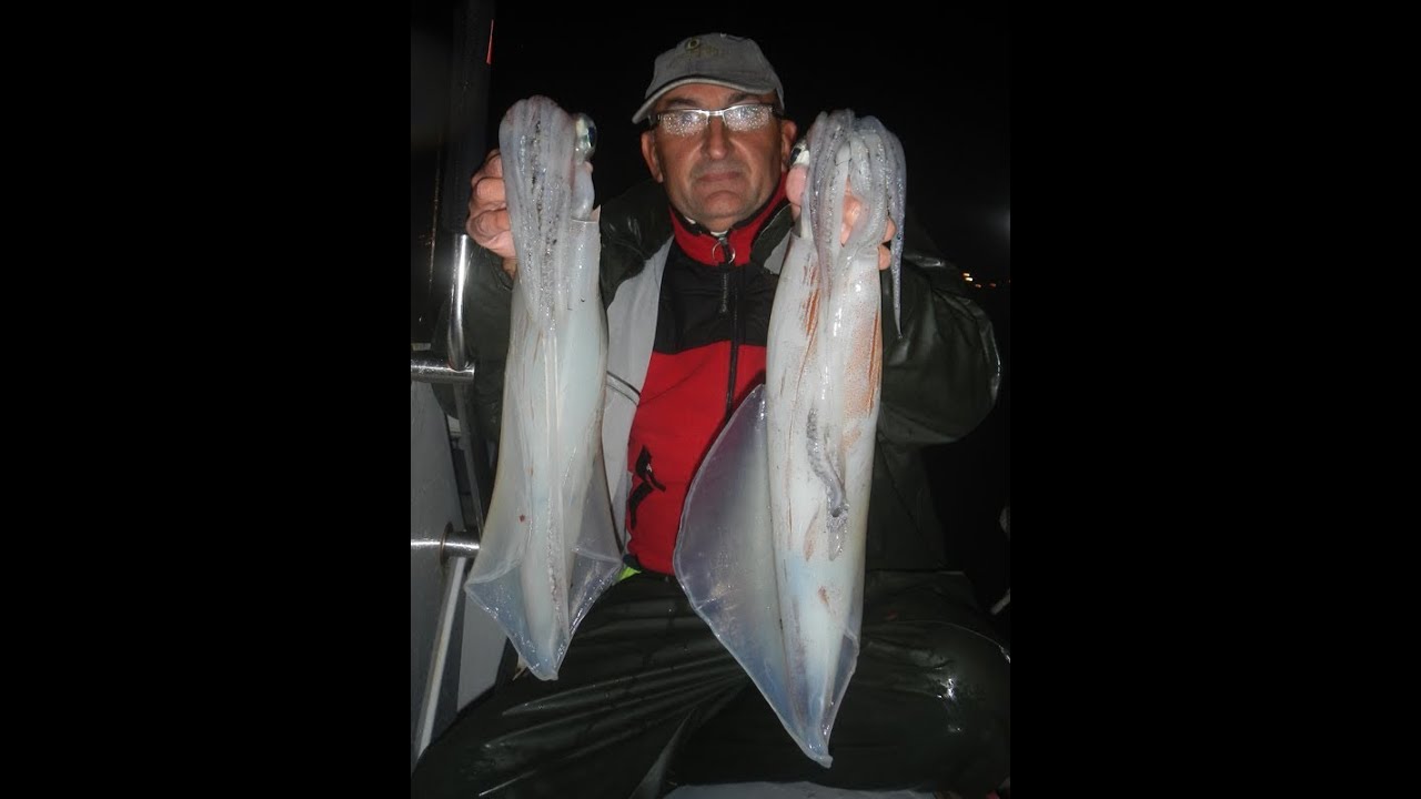 A por calamares...  HD