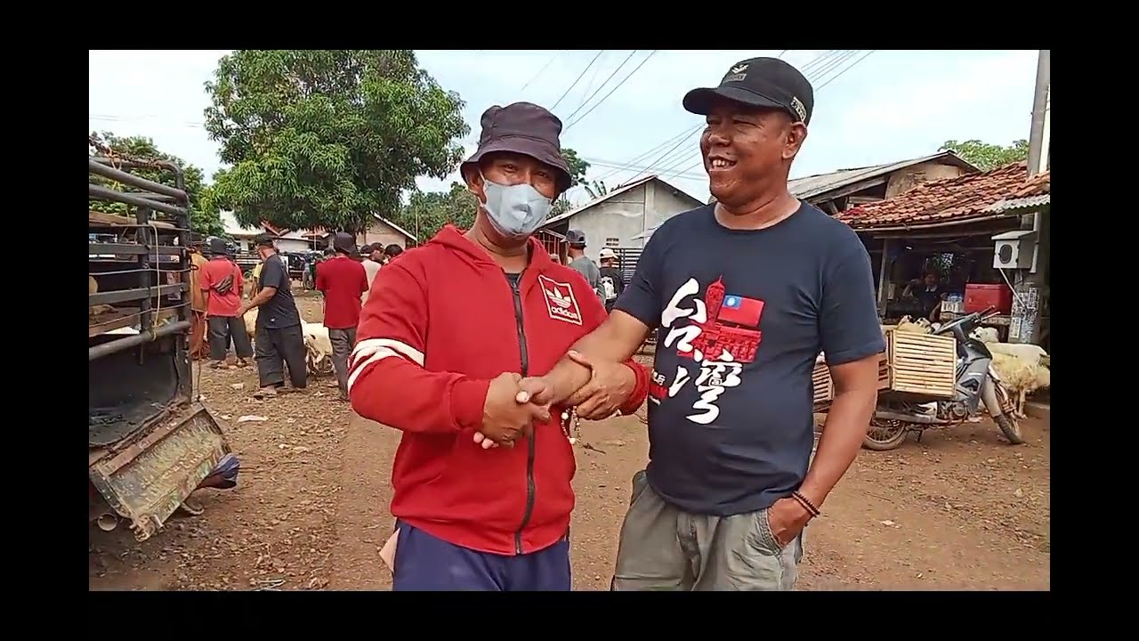 Update Harga Kambing, Domba Dan Sapi Pasar Hewan Purwadadi Kabupaten Subang, Selasa 02 Desember 2025