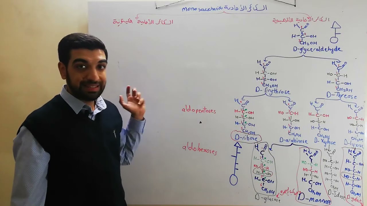 السكريات الألدهيدية السداسية