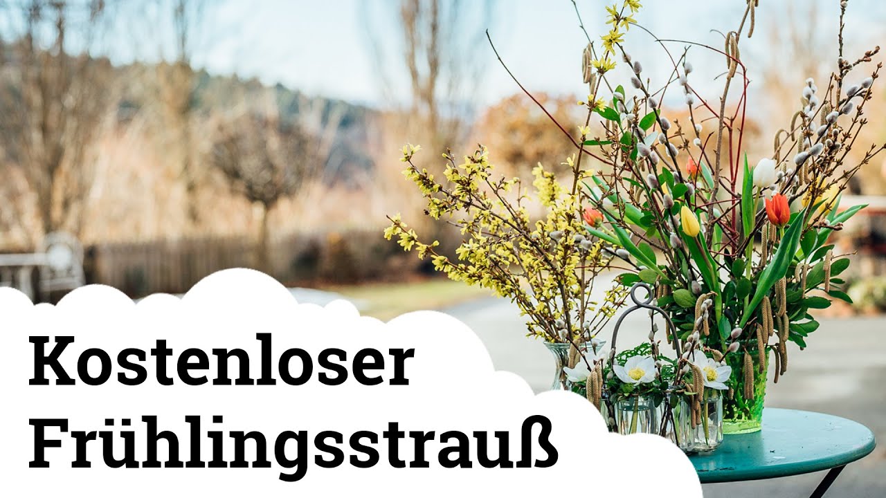 Wir holen uns den Fr&uuml;hling ins Haus | Forsythie, Lenzrose, Palmk&auml;tzchen 💐