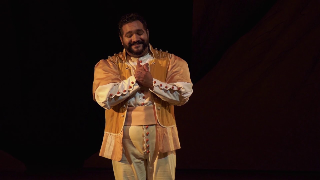 L'elisir d'amore - René Barbera - 
