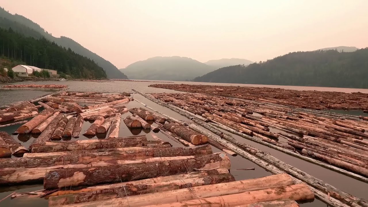 San Group - A global leader in Canadian lumber exports since 1979