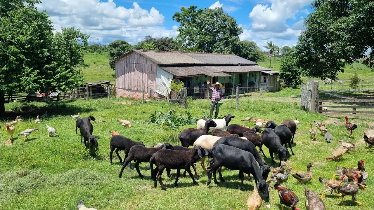 O Rancho Que Todo Mundo Sonha em Ter  Simples, Farto e Cheio de Paz!