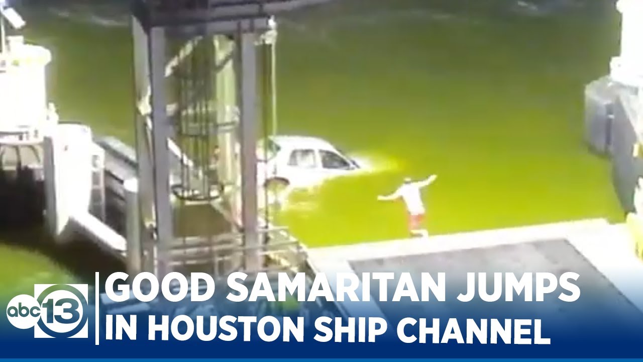Video shows bystander rescues man whose car plunged off ferry ramp
