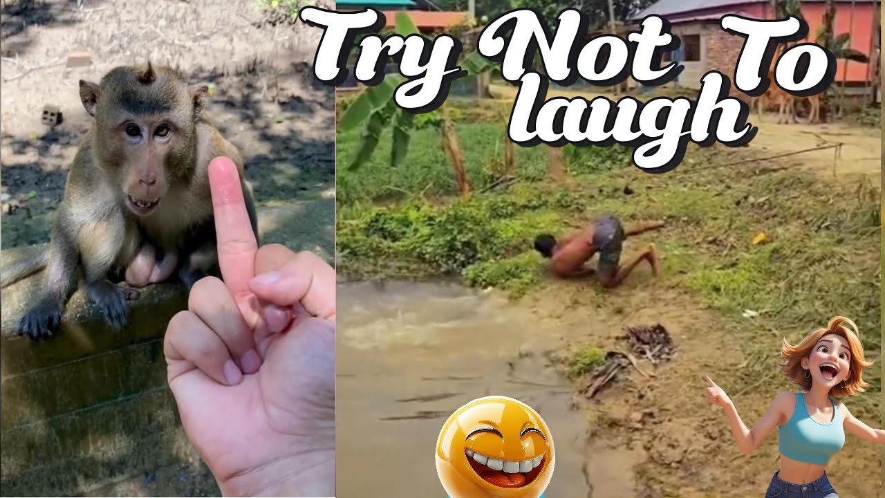 New Viral Funny Videos trending 2024 🤣 -People Being Idiots 🤣 Try Not To Laugh#funny #comedy#pranks