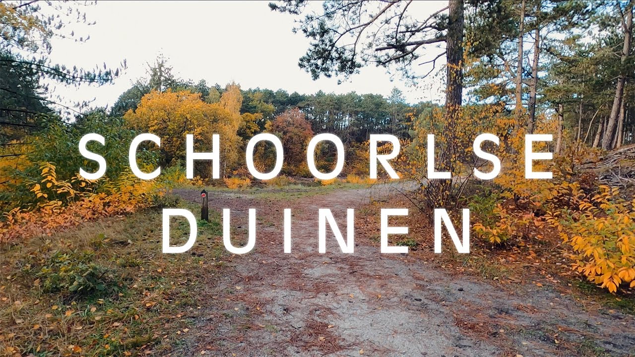 Walking in SCHOORLSE DUINEN / Netherlands / GoPro Hero 8