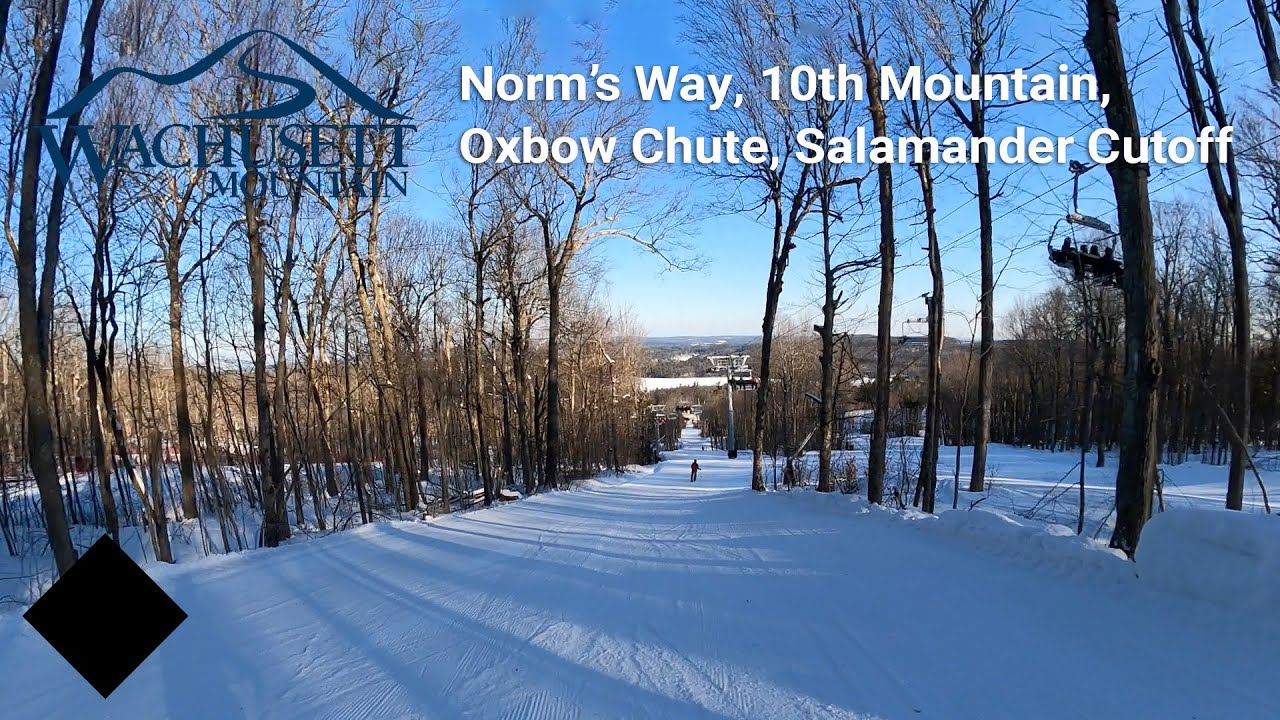 Wachusett Mountain - Norm's Way to 10th Mountain Trail to Oxbow Chute to Salamander Cutoff
