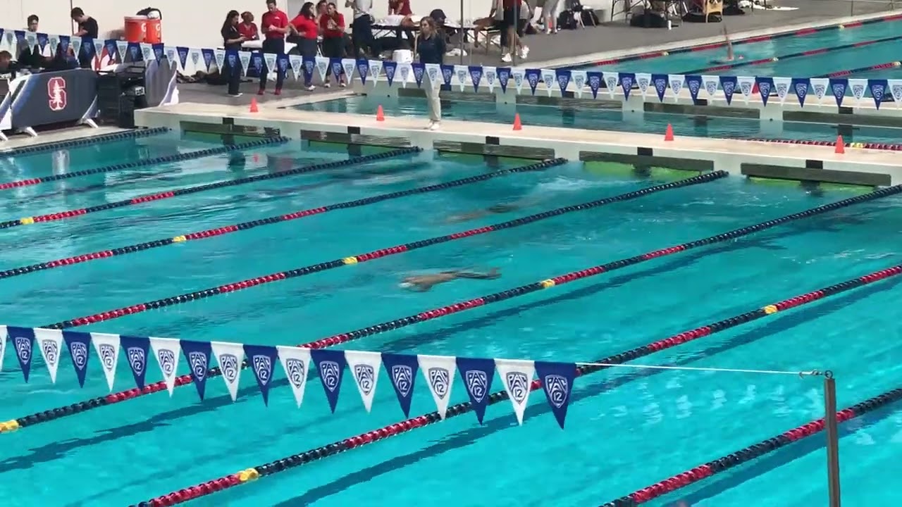 My view of the John Heaphy 100 yard breaststroke (time trial), 51.99 seconds (9 March 2024)