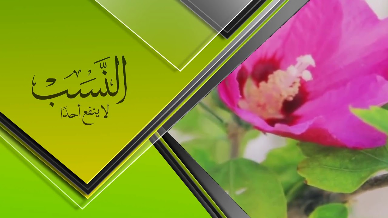 النسب لا ينفع أحداً | الشيخ د. ناصر بن سليمان العمر